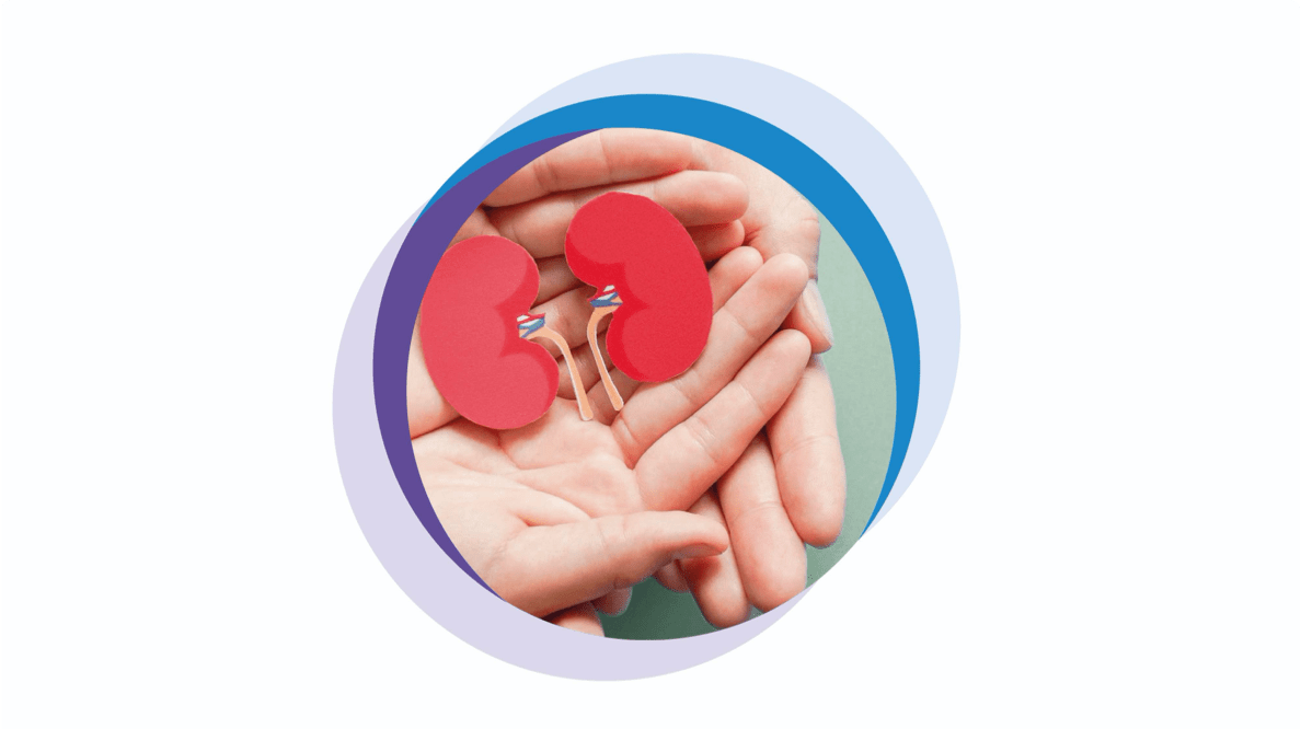 Не-забувайте-про-нирки (2)