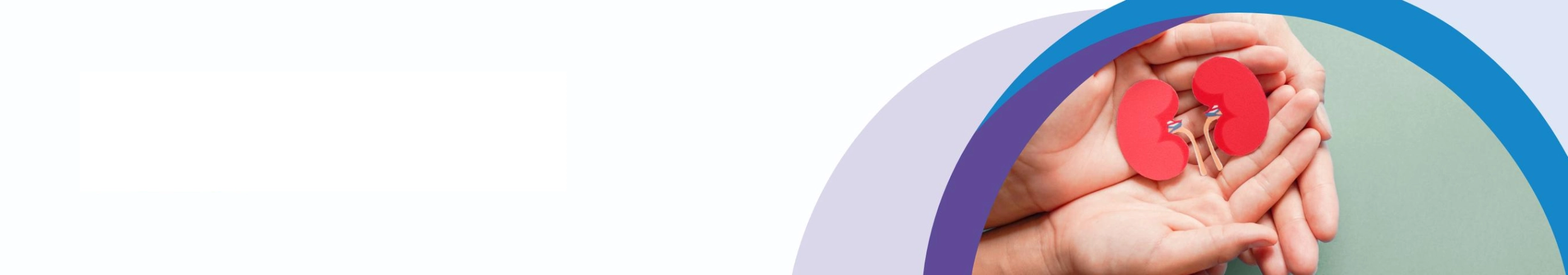 Ръце, които държат миниатюрни бъбреци